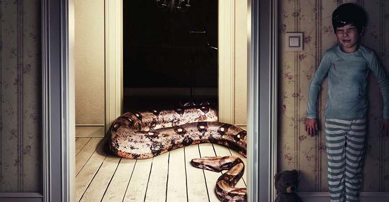 hội chứng sợ rắn là gì