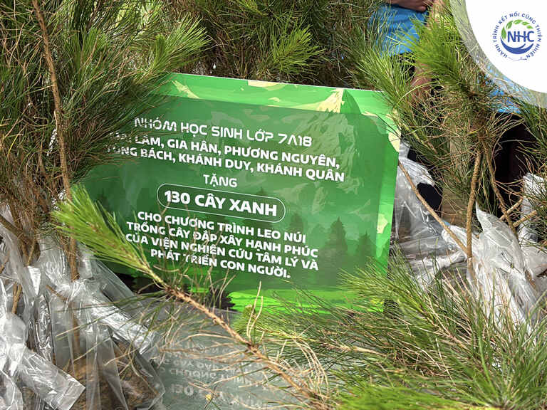 130 cây giống được tài trợ từ lớp bé Mai Lâm trường Vinschool